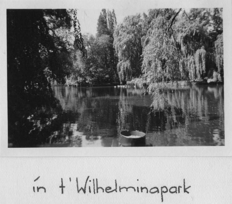 in het Wilhelminapark